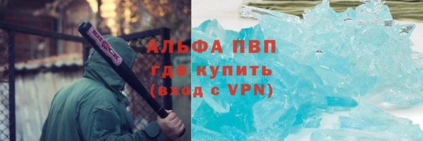 стаф Бородино