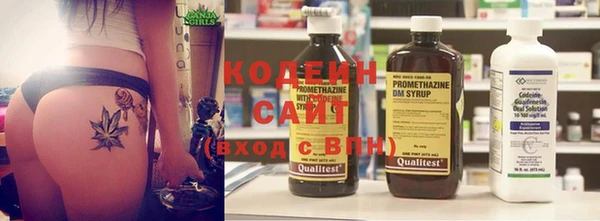 стаф Бородино