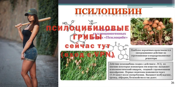стаф Бородино