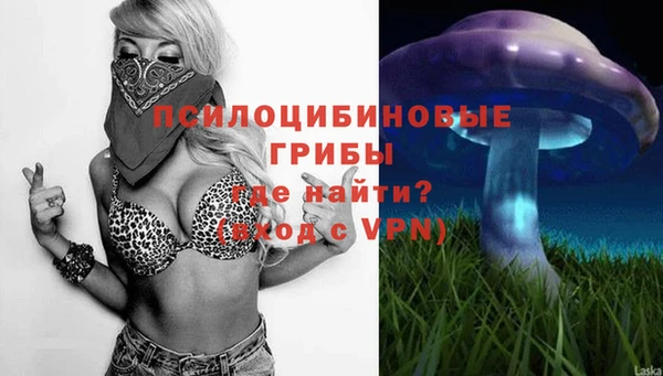 стаф Бородино