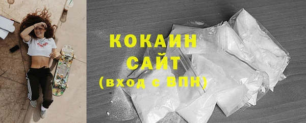 стаф Бородино