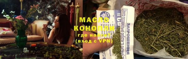 стаф Бородино