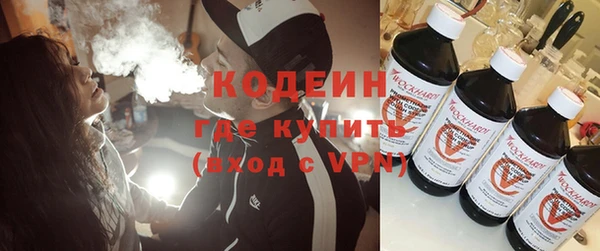 стаф Бородино