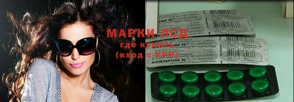 стаф Бородино