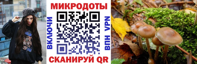 Галлюциногенные грибы мицелий  Купить  Мглин 